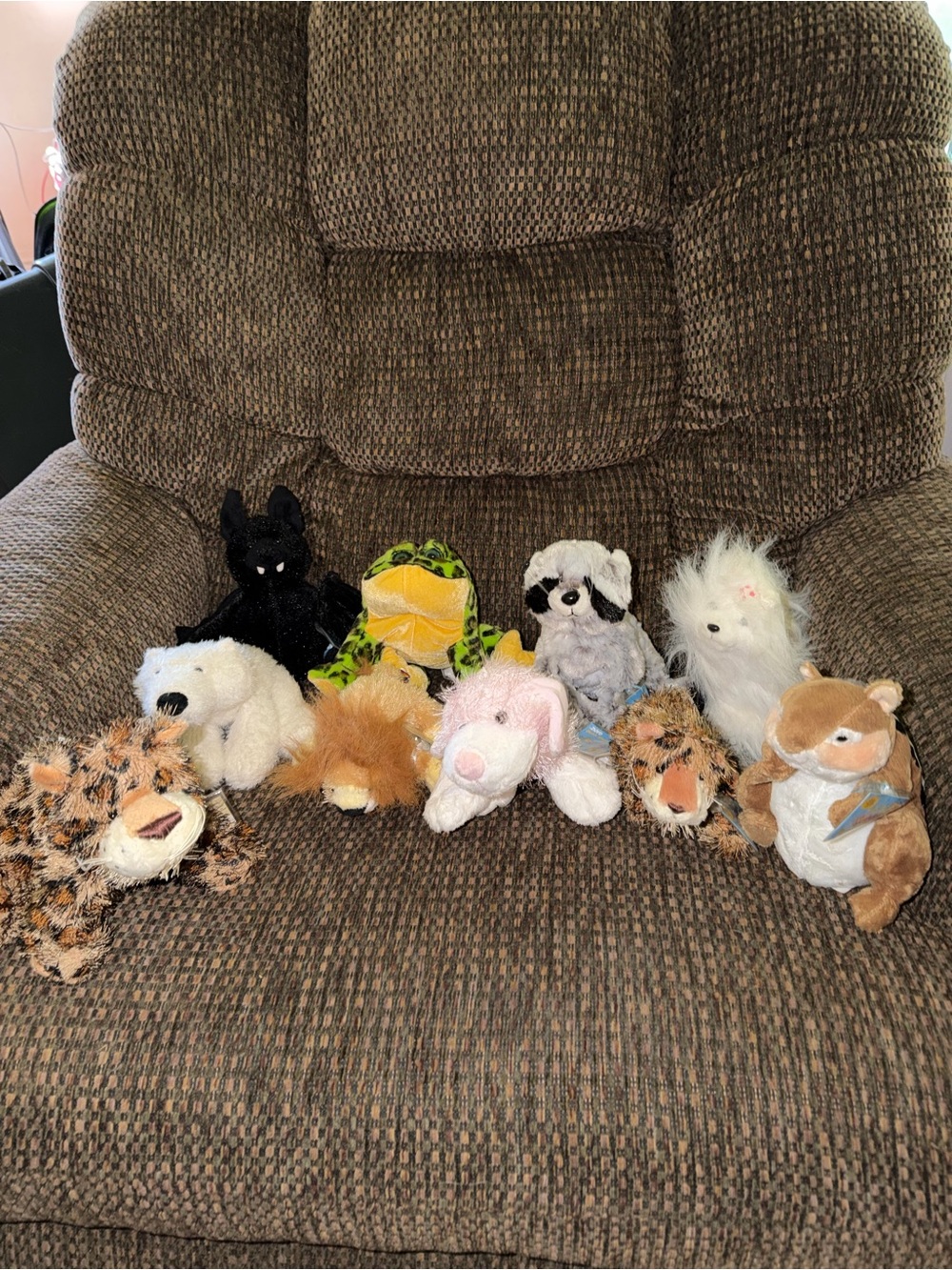 Webkinz